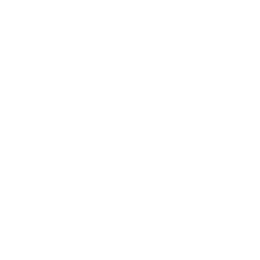 Mirror Wish